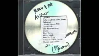 Roky Erickson and the Aliens- 