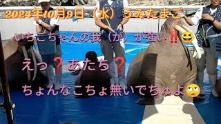 うみたまご2024年10月9日いちこちゃん、ママと出てくるの楽しいよね？