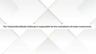NP EXAM COACH: Ultimate PMHNP Question Bank