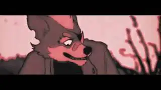 wolf o'donnell | the hills