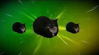 Maxwell the Spinning Cat 4K Live Wallpaper