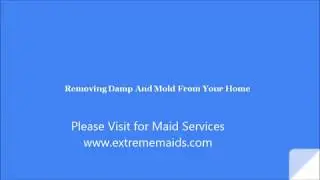 Maid Services in Tampa | extrememaids.com