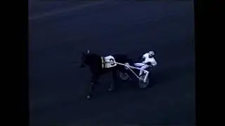 2004 Meadowlands DITA HANOVER Brian Sears NJSS 2YO Filly Trot $25,000