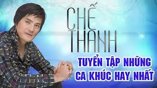 Liên khúc chế thanh chuyện tình hoa pensee