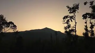 Ambient Screensaver 🌿 Dawn to Dusk Over the Hills at Kulkumry Coffee Estate, India | 4K