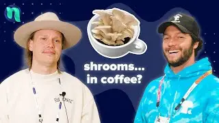 Is Mushroom Coffee Worth It? Insights from Four Sigmatic and Malama Mushrooms CEOs