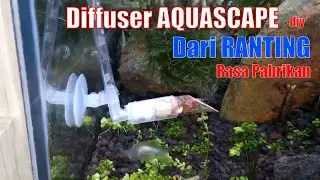 How to make a DIY CO2 diffuser from guava twigs | #TTm #cheap aquascape | DIY wooden CO2 diffuser