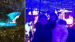 Holiday Lights Bronx Zoo 11/20/2019