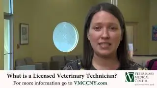 What is a Licensed Veterinary Technician?