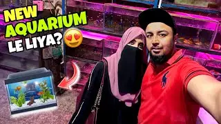 Hum Ne Liya New Aquarium | Gari Utha Ke Le Gaye | Pakistani Aquarium Shop | Aquarium Setup Pakistan