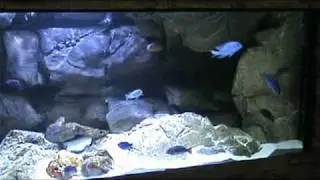 Overhang Modular Rock/Malawi 3-D Background   