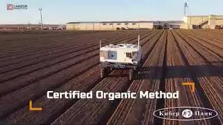 В США создали автономного робота The Autonomous Weeder, который способен выжигать сорняки на полях в