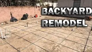 AVOIDING DISASTER ON SITE! Bees, Gas Line & Brush | Backyard Concrete Remodel Part 1