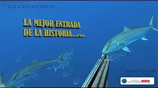 LA MEJOR ENTRADA DE LA HISTORIA, LECHAS GIGANTES #amberjack #spearfishing #fishing #pesca