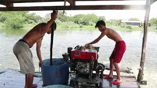 Fish Farming Business in Cambodia / Pangasius Fish are very good Fish