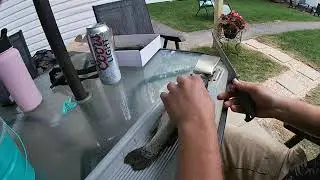 Tutorial on how to filet a trout