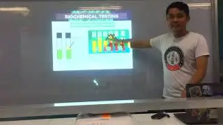 MT Pre-Recorded Lectures | MT 37: Biochemical Testing (Non-Fermentative Gram Negative Bacilli)