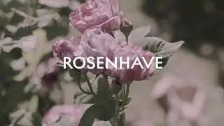 ROSENHAVE &ndash; Floral Sanctuary | The story of a scent | Skandinavisk