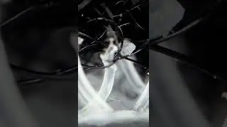 An Extreme Close Up of Velcro