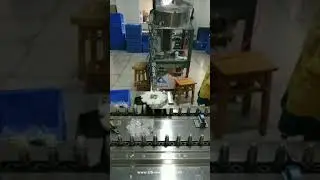 Automatic cap sorting feeding system