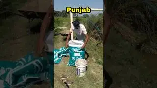 Best Fish Feed in India | FeedWale Fish Feed | Customer Feedback From Punjab
