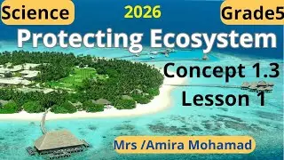 Science Grade5 | Protecting Ecosystem |  Concept 1.3| First term 2026 | شرح ساينس خامسة إبتدائي