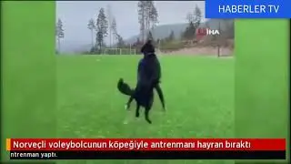 Norve&ccedil;li voleybolcunun k&ouml;peğiyle antrenmanı hayran bıraktı