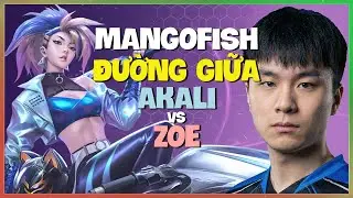 Chiến thuật đảo đường và combo Akali mãn nhãn của MangoFish tại rank Kim Cương Vietsub