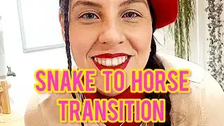 Snake to horse transition! #yearofthehorse #yearofthesnake #newyearsresolutions #shedding #clearout