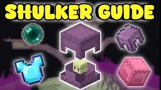How to make shulker box in Minecraft bedrock 1.21 | How to get shulker boxes | SHULKER Minecraft