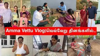 Amma Vettu Vlog|வெவ்வேறு தினங்களில்..|150 பேருக்கு சாம்பார் சாதம்|Abi Tamil Youtuber