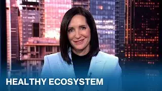 Сможет ли Канада создать якоря в области естественных наук у себя дома? | Подведение итогов