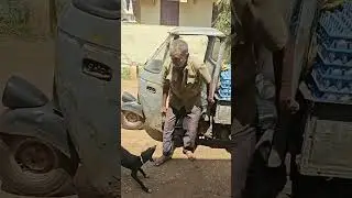 #ytshorts #dog #egglover