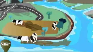 Clean Water: A Long Journey from the Source to Our Tap