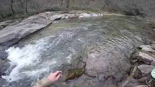 Stalking Big Brown Trout