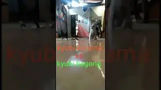 Pertarungan sengit kyubi kurama vs kyubi bagong