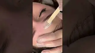 Hybrid Brow Tint & Professional Brow Shaping | Fuller Brows Without Makeup