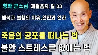 죽음을 두려워 합니까 생명은 영생불멸합니다 | 마음에 불안과 스트레스를 느낍니까 행복과 불행 인연과 인과 |청화스님 법문 깨달음의 길 33회