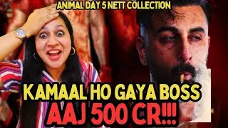 Animal Day 5 Box office collection 🔥🔥🔥||  Animal Box Office Collection || Animal || #ranbirkapoor