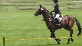 Groton House Farm Horse Trials 2018 Day 3 - Showjumping