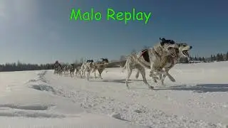 Open North American Championship Sled Dog Race 2021 Third Heat