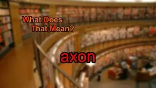 What does axon mean?