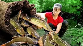 Harvesting 1000+ Catfish Go to Countryside Market Sell. Taking Care of My Farm | Phuong Harvest Life