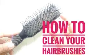 HOW TO CLEAN YOUR HAIRBRUSHES