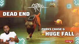 STRAY -  DEAD END - Zurks' Chase and Huge Fall Gameplay