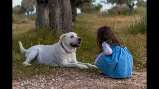 Animals are Perfect Companions for Children! ❤️🐶 Funniest Moments &ndash; Try Not to Laugh! 😂
