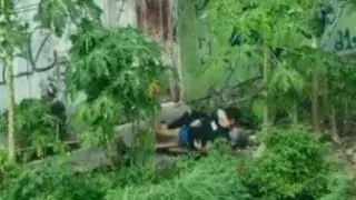 3ny4k 3ny4kan di kebun kebun