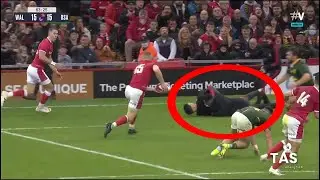 Drunk fan runs on field during Wales vs South Africa rugby match | Was this Jaco Johan?