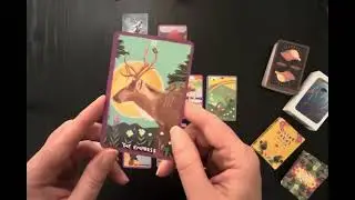 A Tarot Spread for the Week Ahead: Week of December 22, 2025