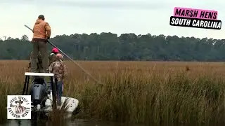 Hunting Marsh Hens in the Lowcountry